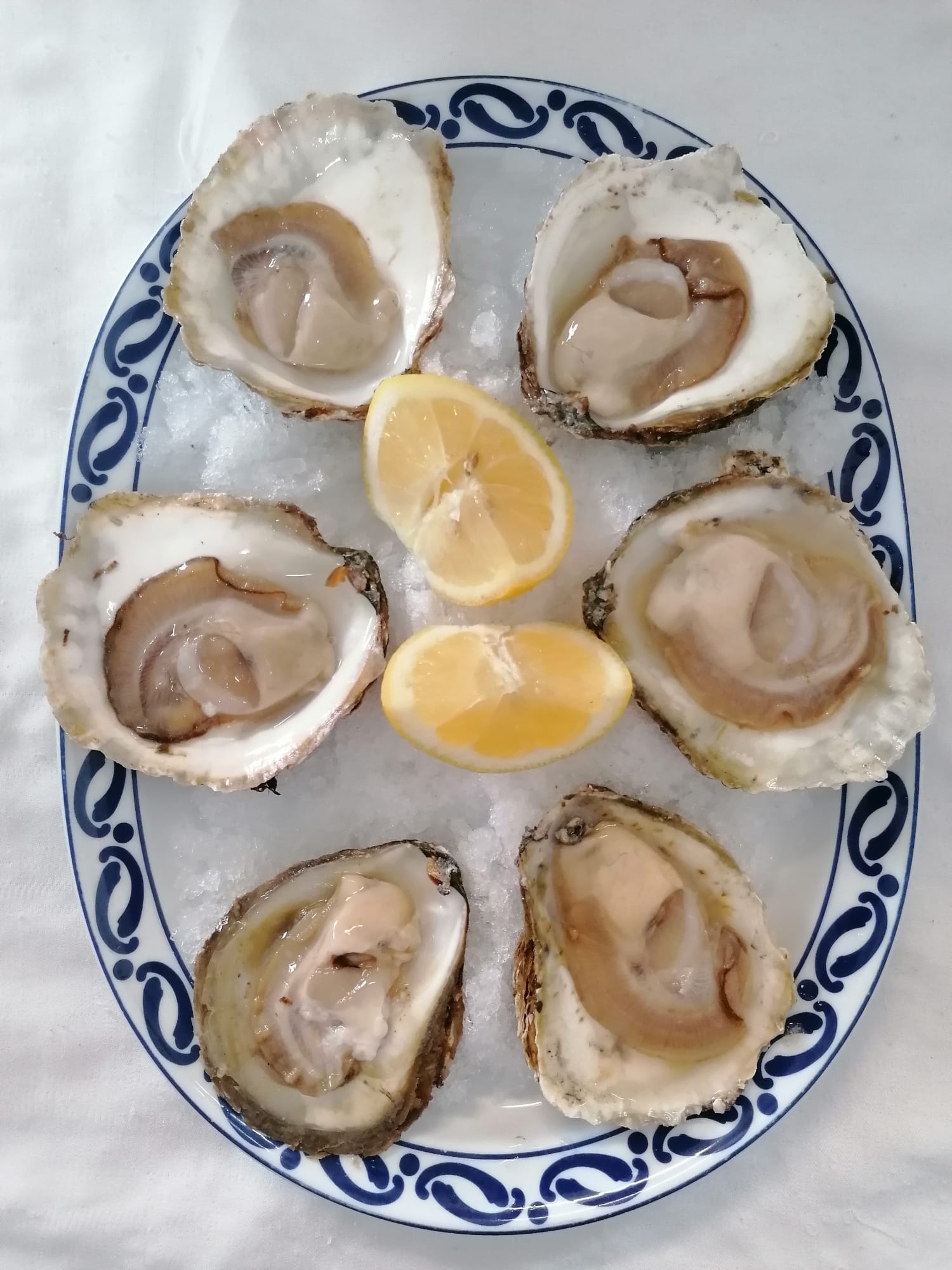 restaurante_burela_madrid_ostras_abiertas