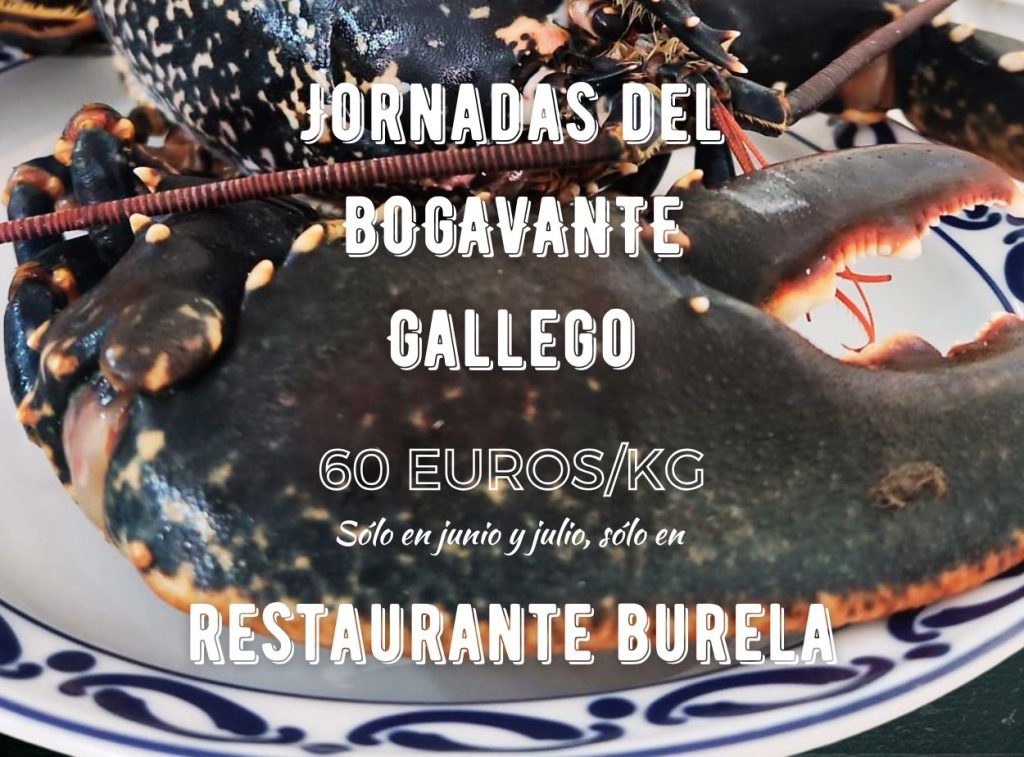Jornadas del Bogavante gallego en Burela Madrid